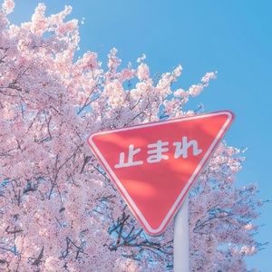 Meet your Posher, Chanaporn